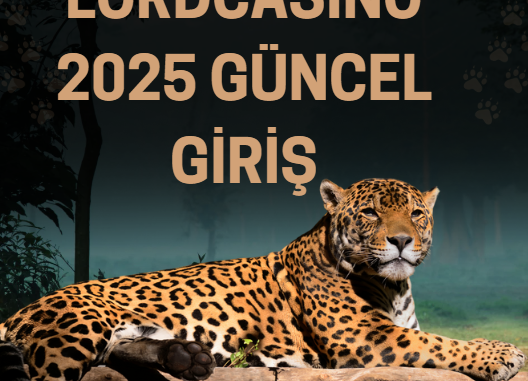 Lordcasino 2025 Güncel Giriş